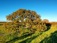 DJI 0416 7 8 Ausgewogen