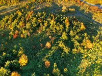 DJI 0437 8 9 Ausgewogen