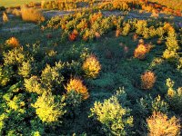 DJI 0460 1 2 blue-wonder