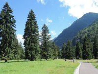 DSCN6916  Im Föhrengrund