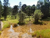 DSCN6938 2 4865x2116  Grundwasser...