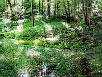 DSCN6996 4 5658x2869  Kleine Quellen und Seen