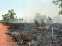 IMG029-Buschbrand-piste