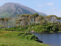 DSCF6363 8 12480x4387  Unterwegs