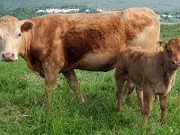 DSCF6602  Ess mich . . . .