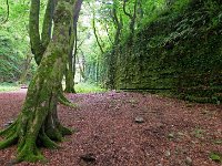 DSCF6739  "The Glen" ist natürlich entstanden, obwohl man sich in einem Park wähnt
