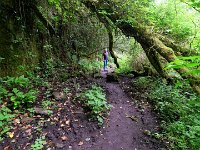 DSCF6768  Der Weg zu "The Glen"