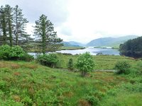 DSCF6933  Im Landesinneren